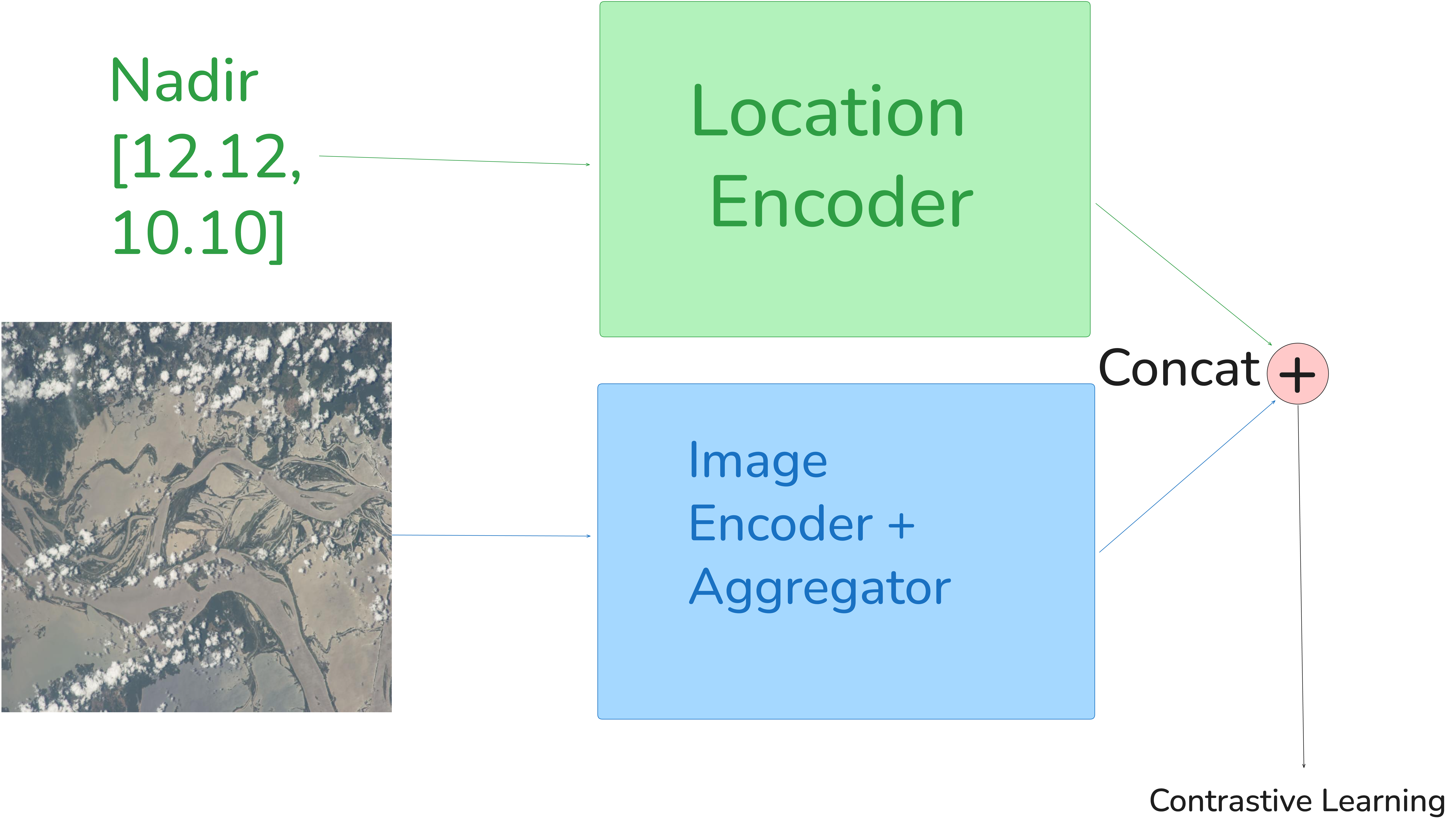 Model architecture diagram